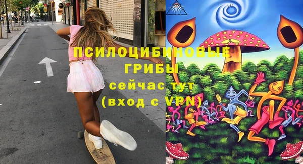 дурь Алзамай