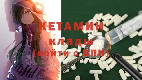 шишки Новодвинск