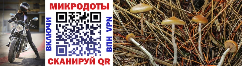 Псилоцибиновые грибы Magic Shrooms  Опочка 